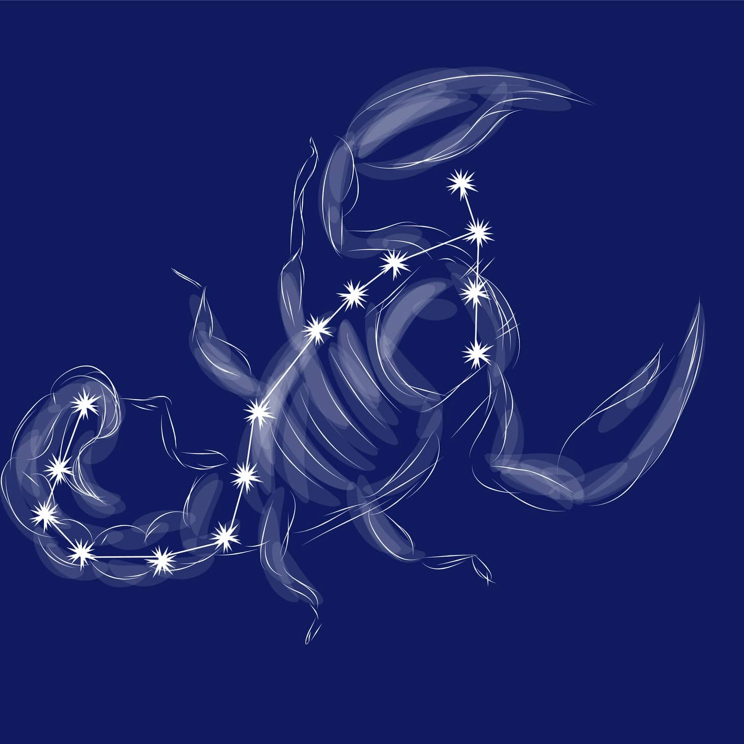 Cheval scorpion